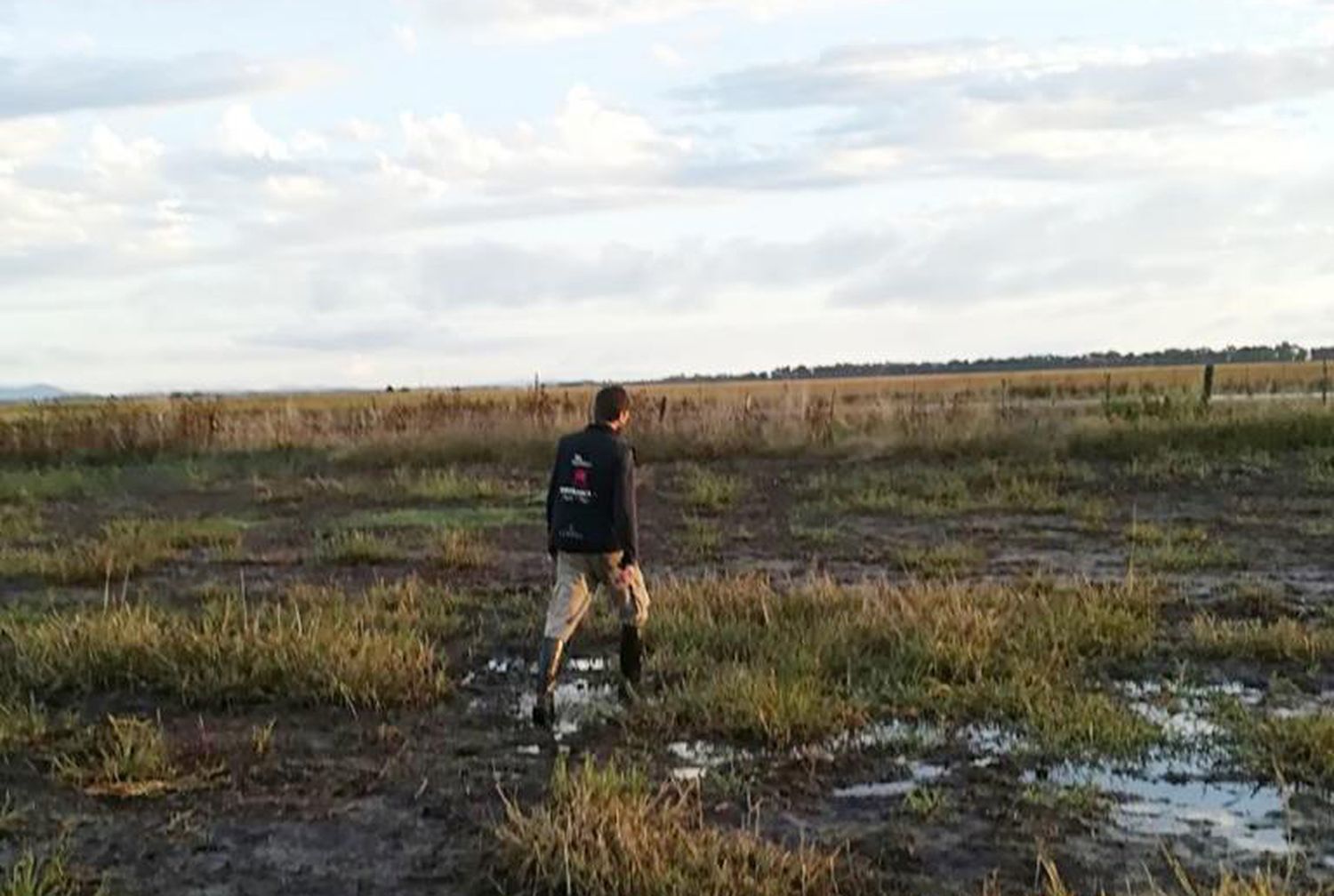 La Provincia oficializó la emergencia agropecuaria por sequía y el campo pide más plazos