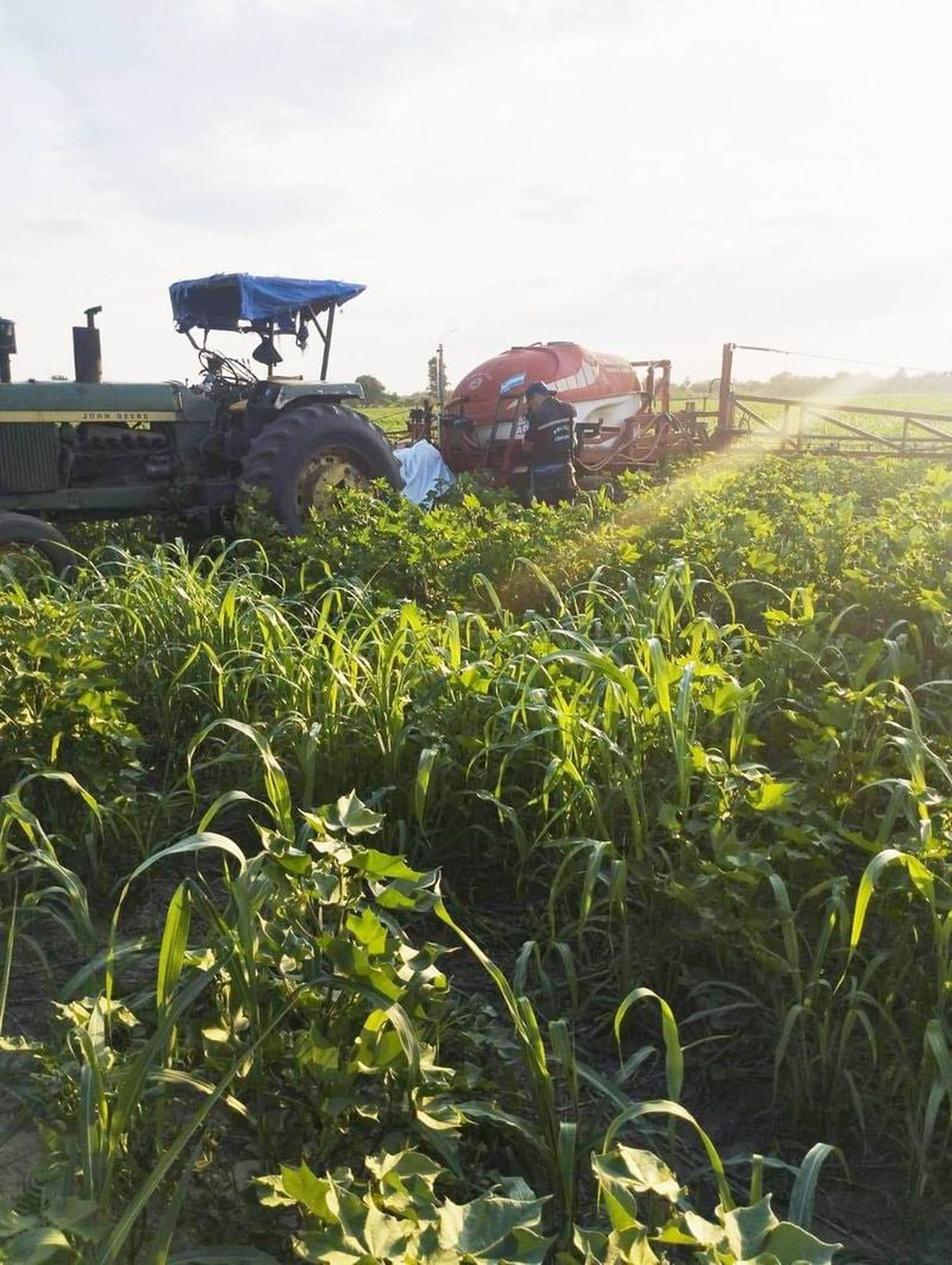 Un hombre murió mientras realizaba
trabajos de fumigación en un tractor