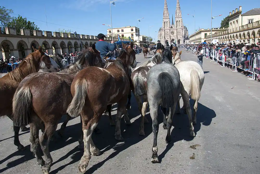 Polémica por la peregrinación a Luján: Gauchos vs. Controles policiales