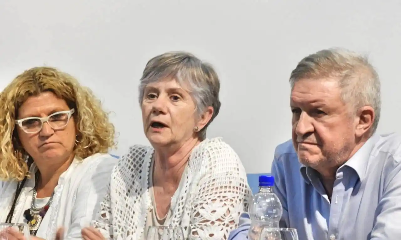 Ley Impositiva: “Necesitamos que la oposición actúe con responsabilidad", dijo senadora oficialista