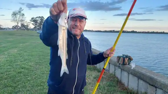 Chascomús: una opción económica y familiar para disfrutar de buenos pejerreyes