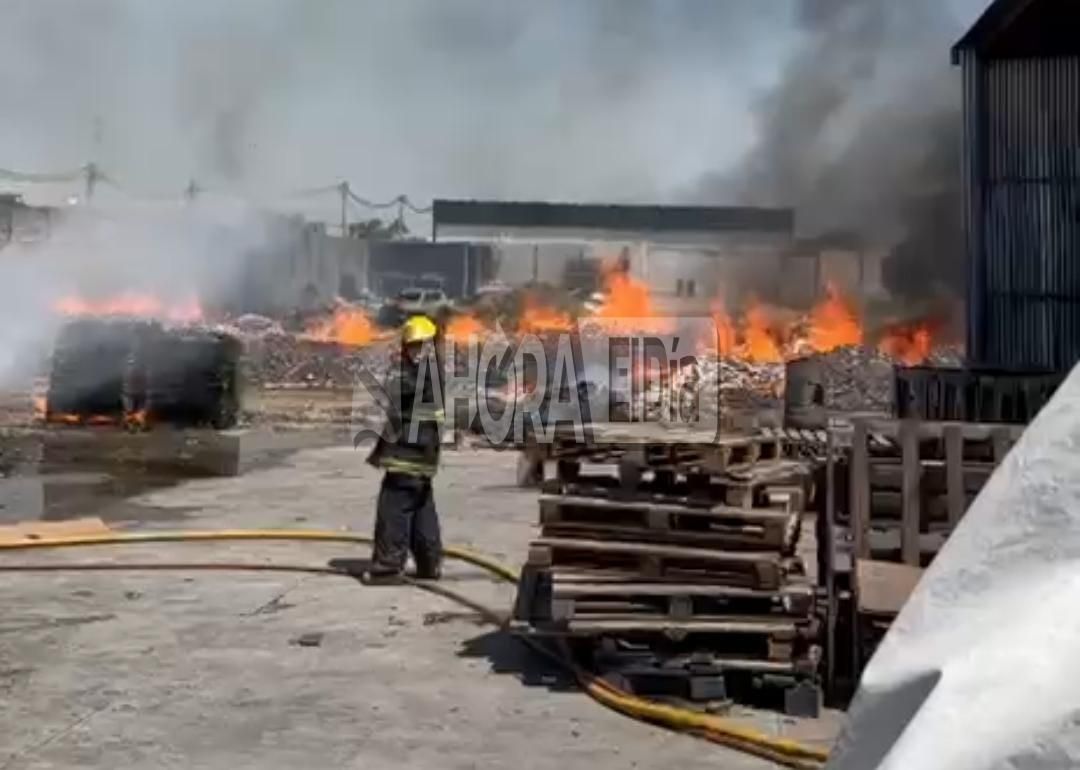 Video: Se incendia una fábrica de pallets en Gualeguaychú e intervienen los bomberos