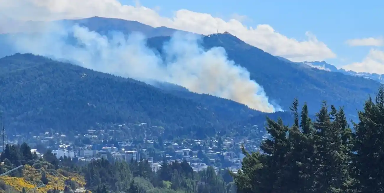 Los focos "son provocados por personas que desconocemos".