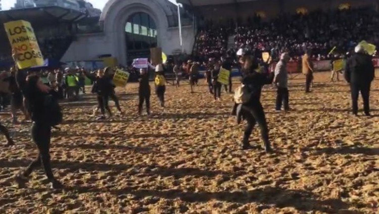 La Rural: veganos invadieron una exposición y los corrieron a los rebencazos