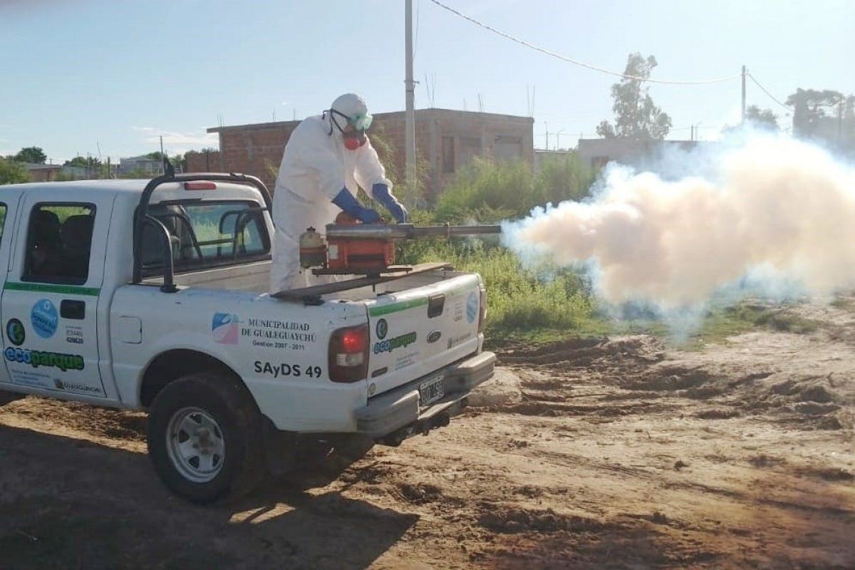 Se realizó un bloqueo en cuatro manzanas de la ciudad por posible caso de encefalomielitis equina