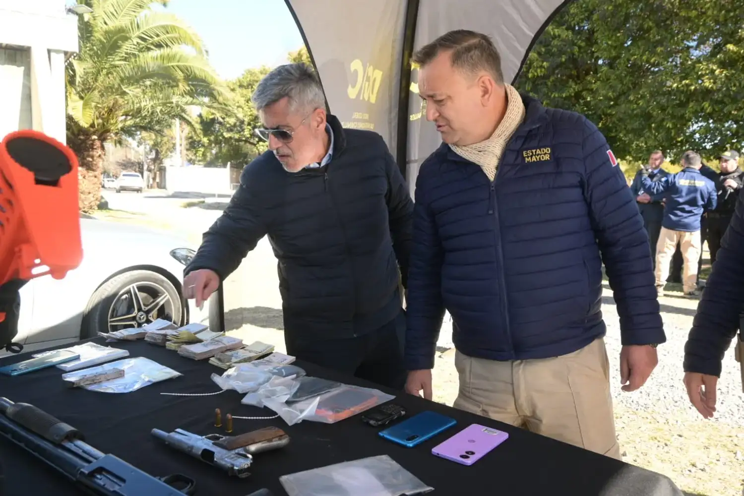 organización criminal