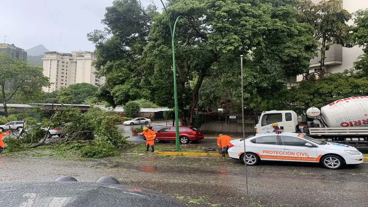 ¡LLUVIAS INTENSAS EN LA GRAN CARACAS! Árbol cae encima de vehículo en movimiento en Terrazas del Ávila (+videos)