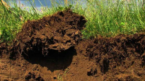 ¿Es posible revertir la degradación de los suelos con más agricultura?