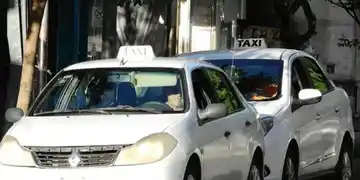 Una concejal de La Libertad Avanza impulsa la llegada de Uber y Didi a Junín: los taxistas quieren lanzar su propia app