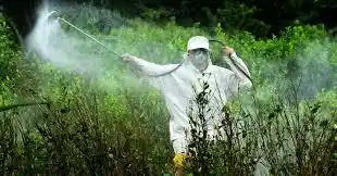 Confirman que glifosato produce cáncer y condenan a la empresa Monsanto a pagar U$S 300 millones 