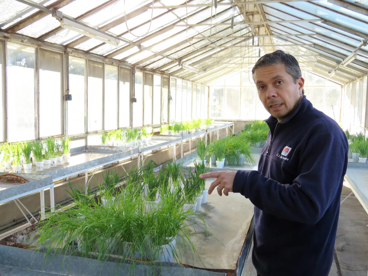 Pablo Campos, el señor de las royas