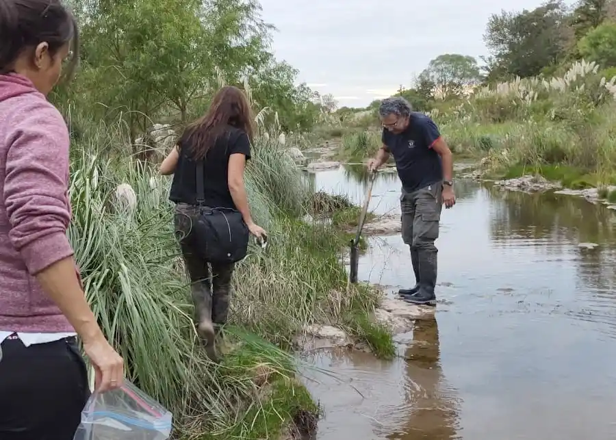 Hallaron 26 pesticidas diferentes en aguas del arroyo Salto