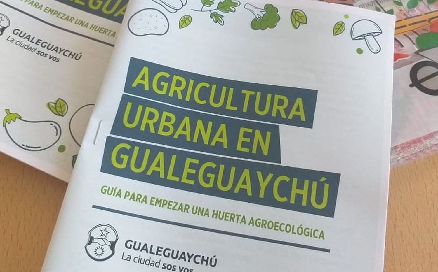 pemstrongGuía para empezar una huerta agroecológica /strong/em/p