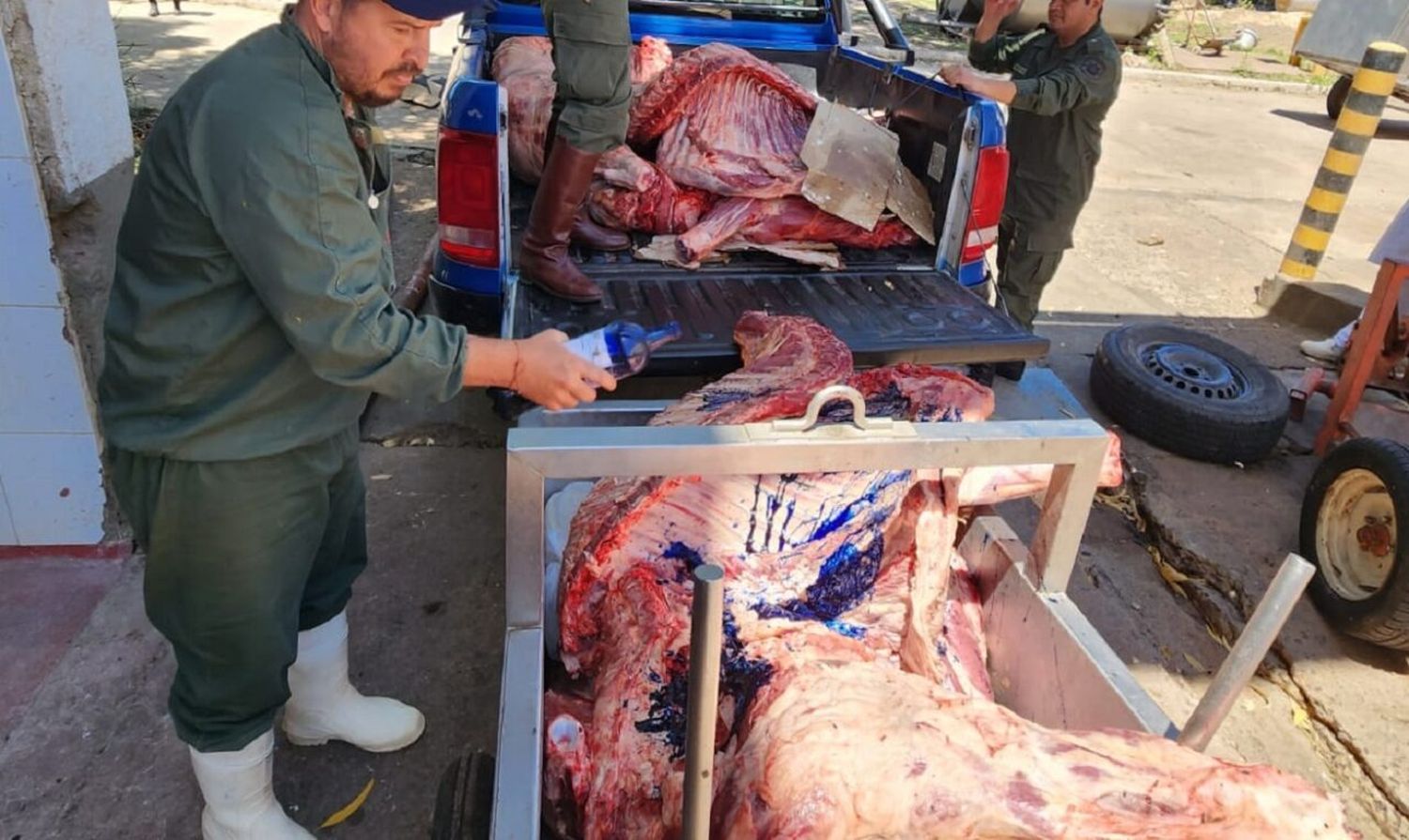 Decomisaron 6 medias reses a un proveedor que circulaba con el equipo de frío apagado