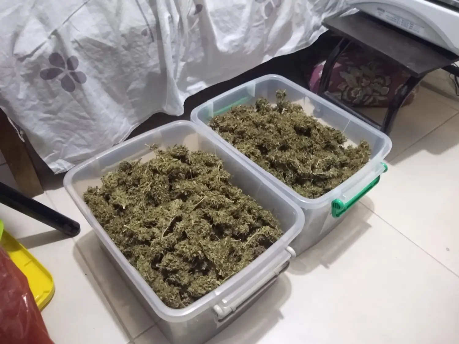 Fueron por una denuncia de violencia de género y secuestraron marihuana