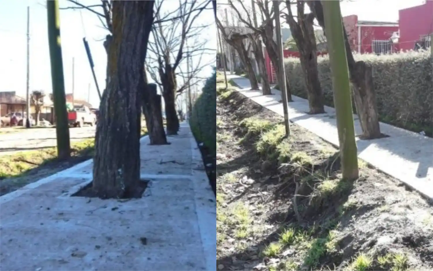 Insólito: En Chascomús hicieron veredas por donde los vecinos no pueden pasar y hay bronca con el Intendente