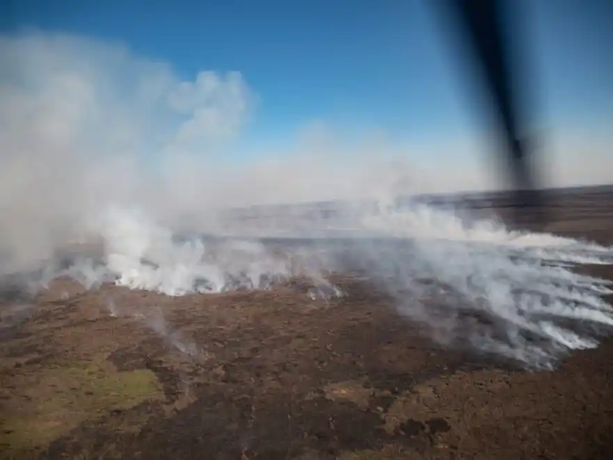 Los incendios afectaron parte de Buenos Aires, Entre Ríos y Santa Fe