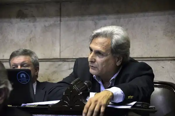 Unasur: Solanas será el Presidente del Grupo de Amistad Parlamentaria 