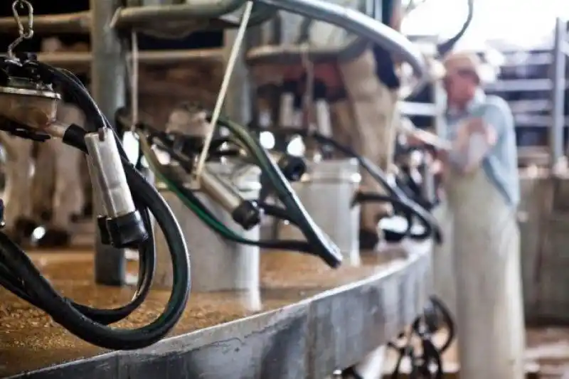 La Provincia asiste a tamberos afectados por inundaciones en el noroeste