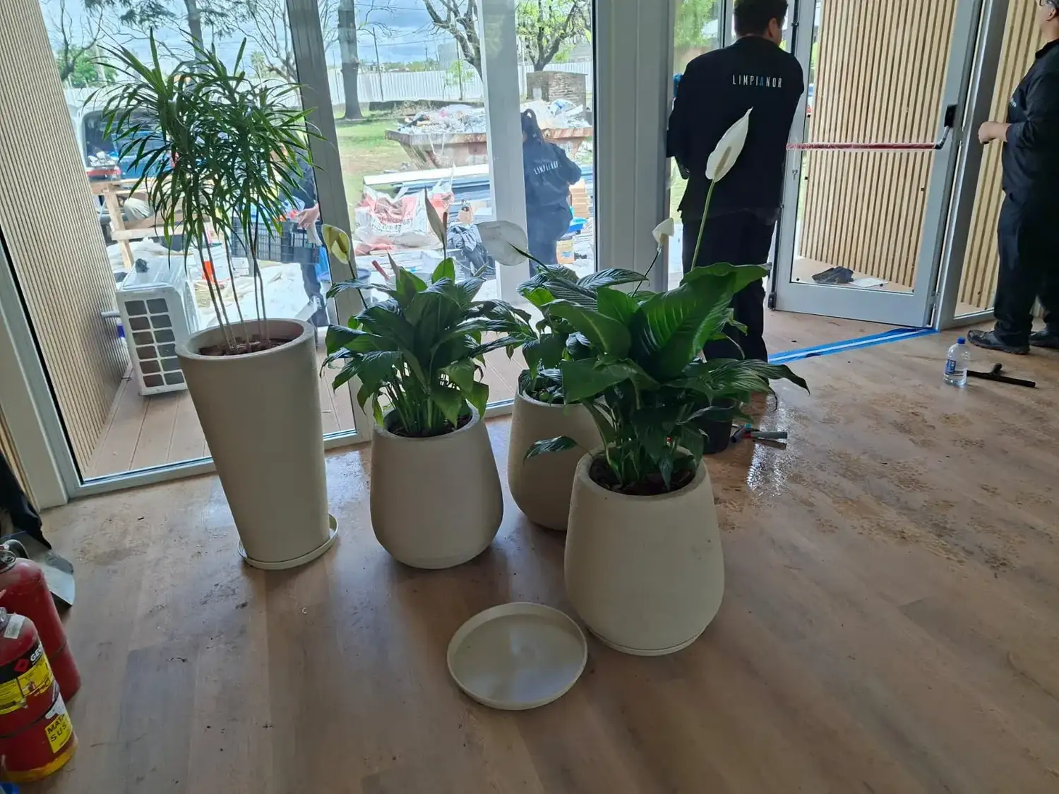 Plantas consultorios Ecosan