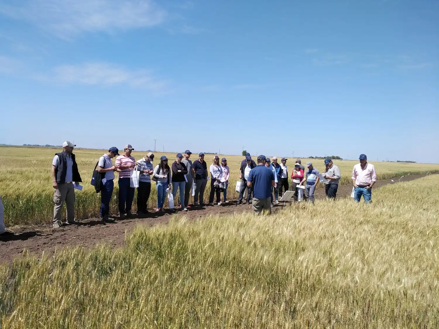 Abren una nueva convocatoria al programa Desarrollo Rural Bonaerense