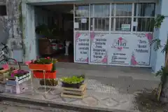 Arreglos Florales Ana y las novedades de la primavera 