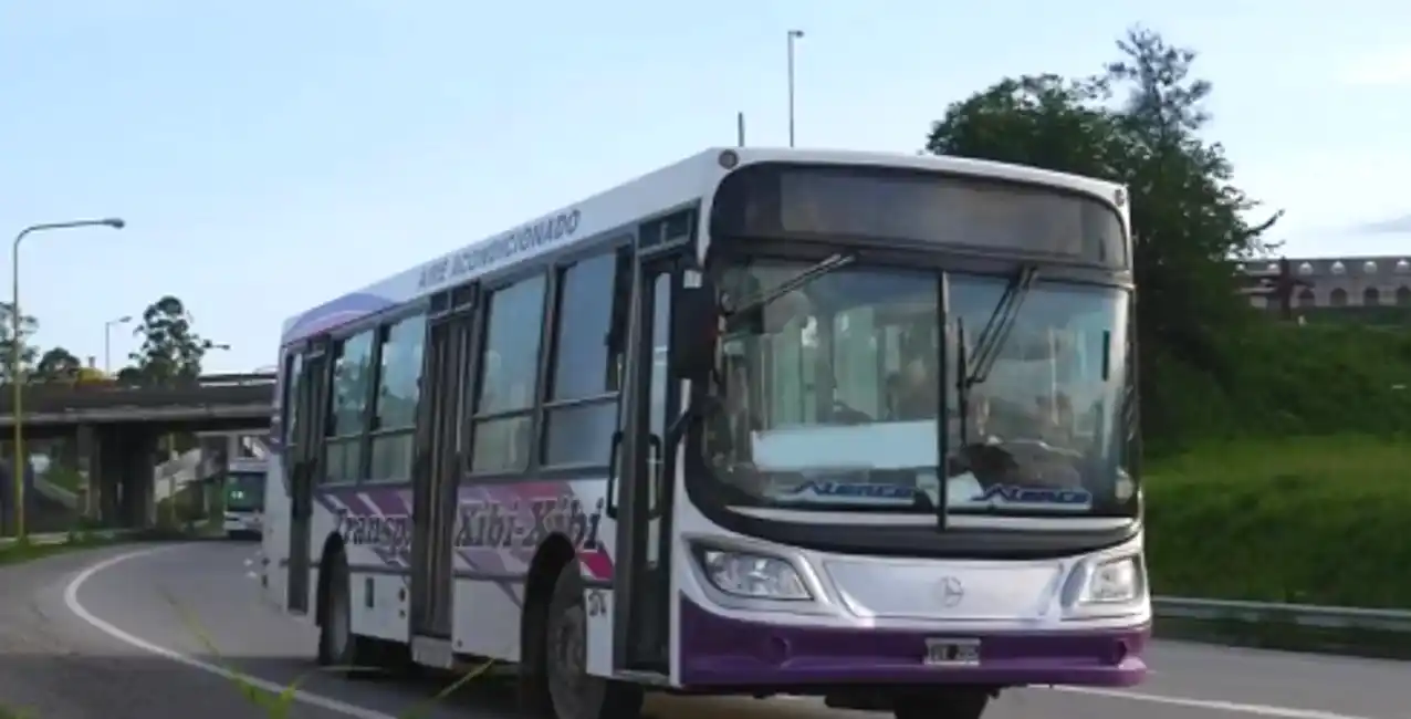 Violencia en Moreno: feroz ataque a un chofer de la línea 501 durante un robo