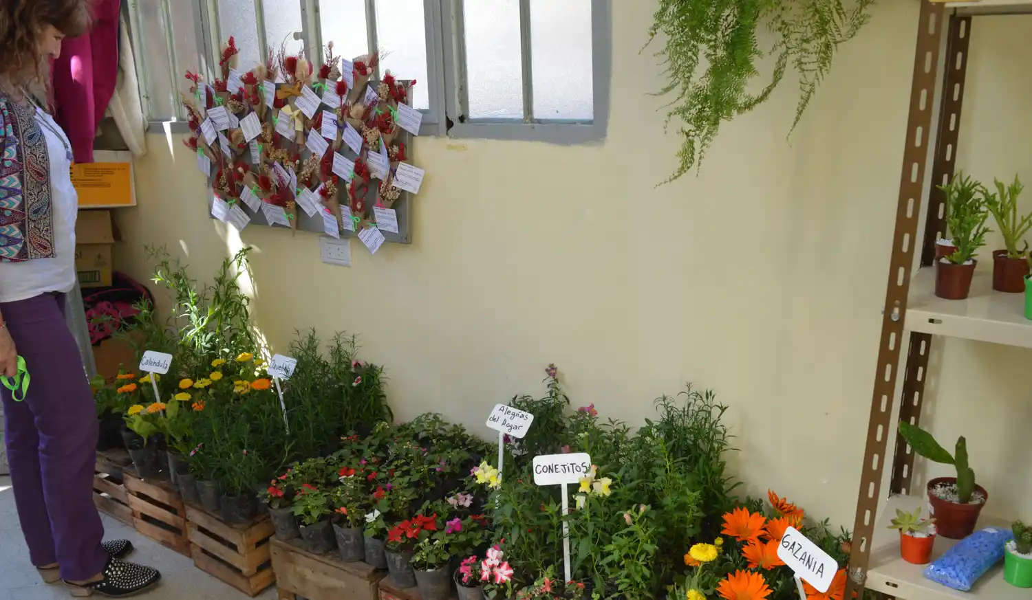 El ex hospital Italiano tiene un espacio de exposición de jardinería