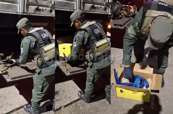Hallaron guacamayos azules en la caja de herramientas de un camión de carga en RN11