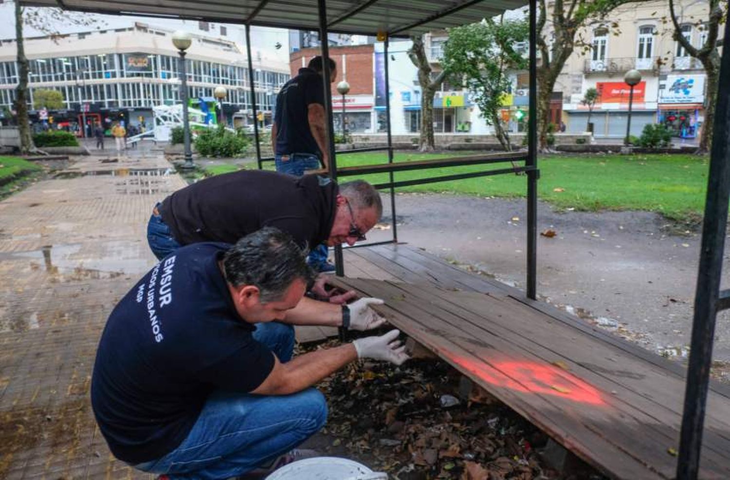 El Municipio desratizó la Plaza San Martín