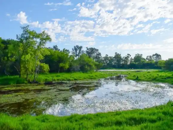 Entre Ríos regulariza una nueva área natural protegida en Villaguay
