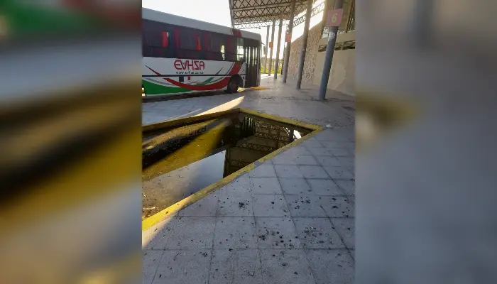 Terminal nueva: un criadero de dengue