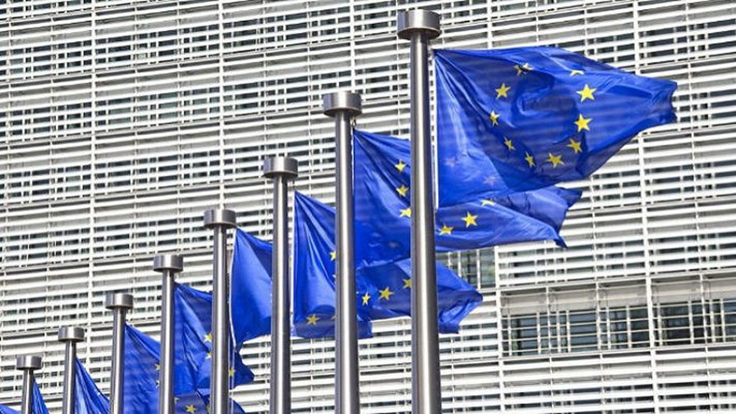 MÁS CLARO IMPOSIBLE: para la Unión Europea Juan Guaidó solo tiene «reconocimiento político»