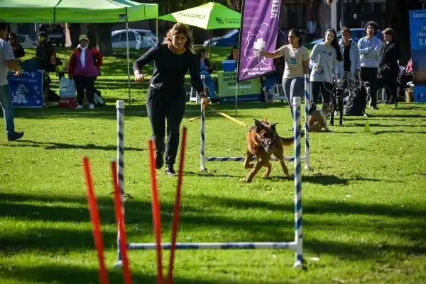 Este sábado se realizará el festival de mascotas en el parque de los Libres del Sur