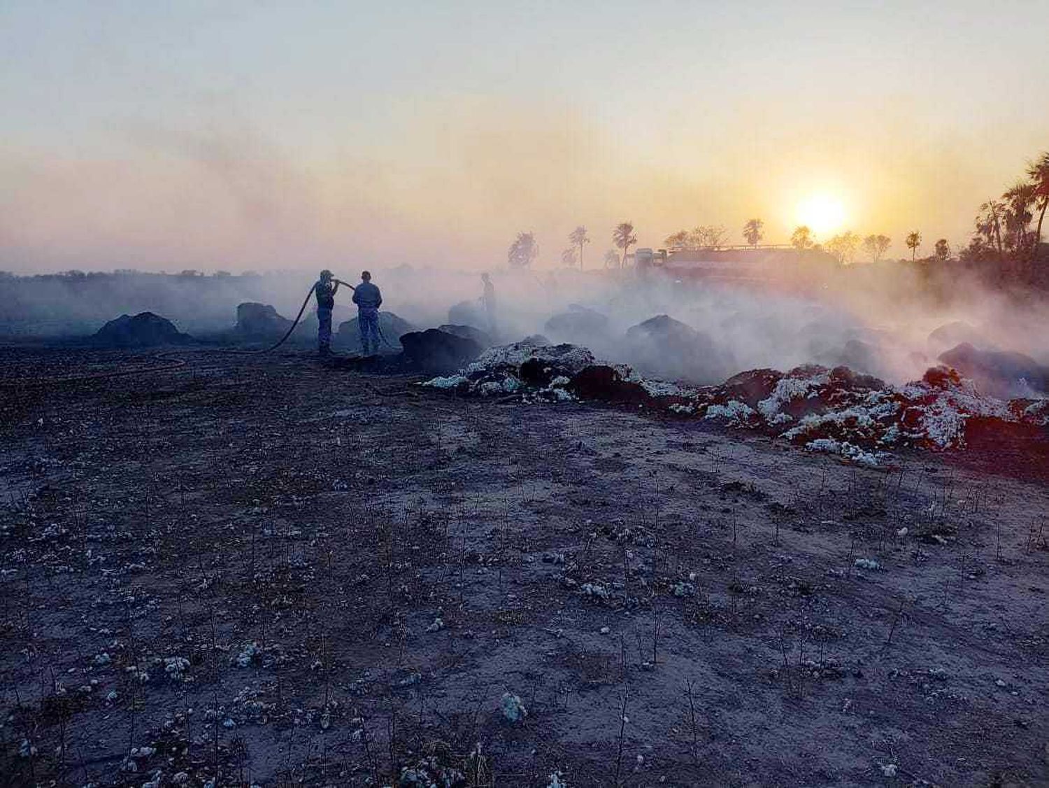 Trabajan para extinguir incendios que afectaron varios campos