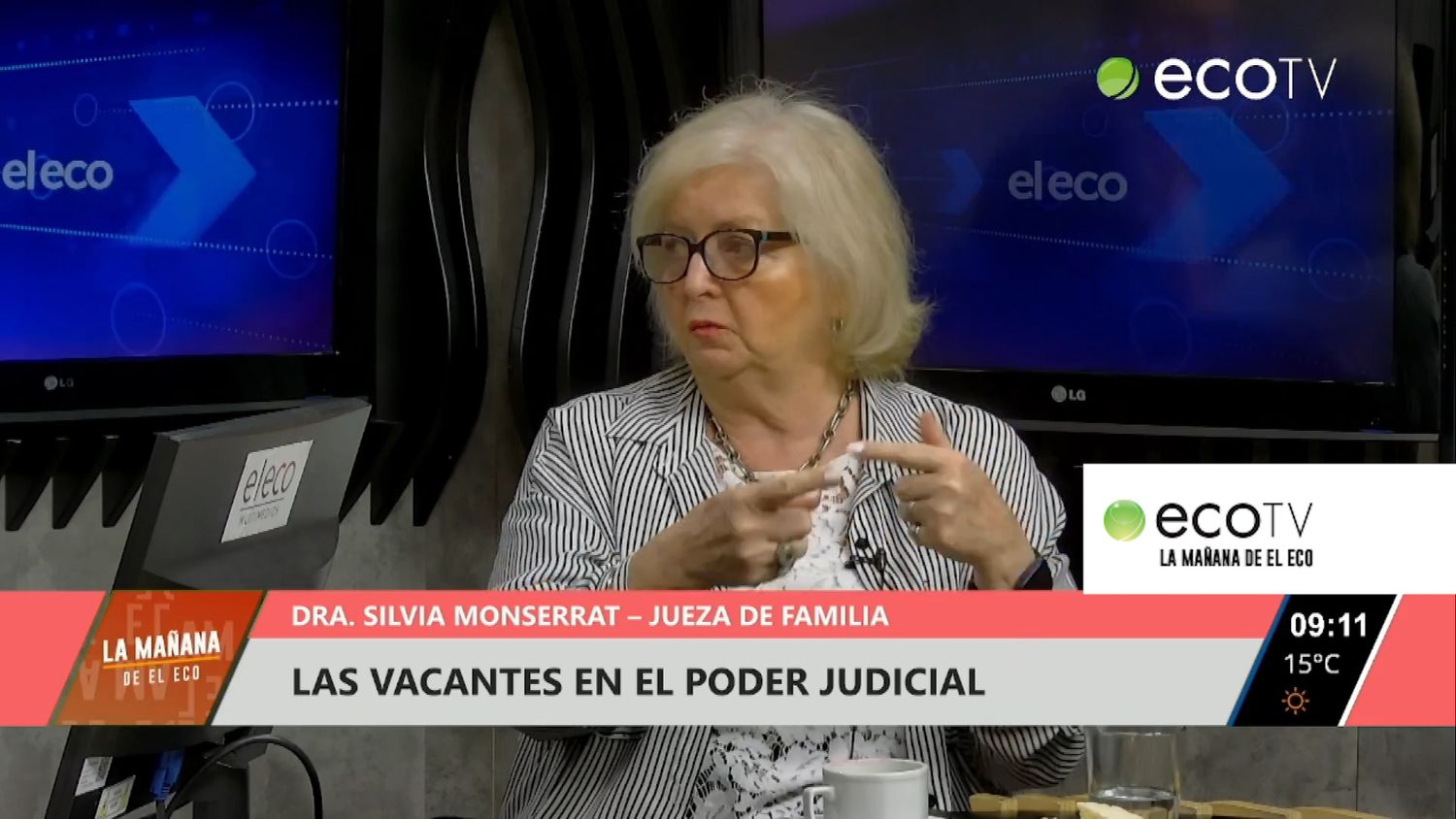 Los tiempos del proceso de adopción