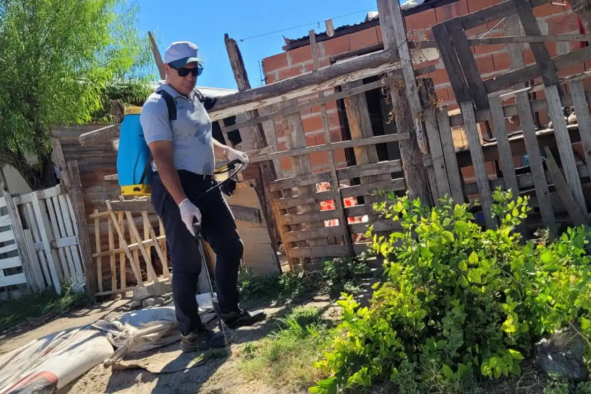 Realizarán un abordaje sanitario y ambiental en la Plaza Basavilbaso