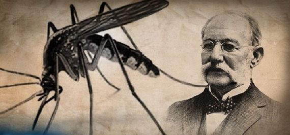 Día del Médico: conocé por qué se celebra hoy