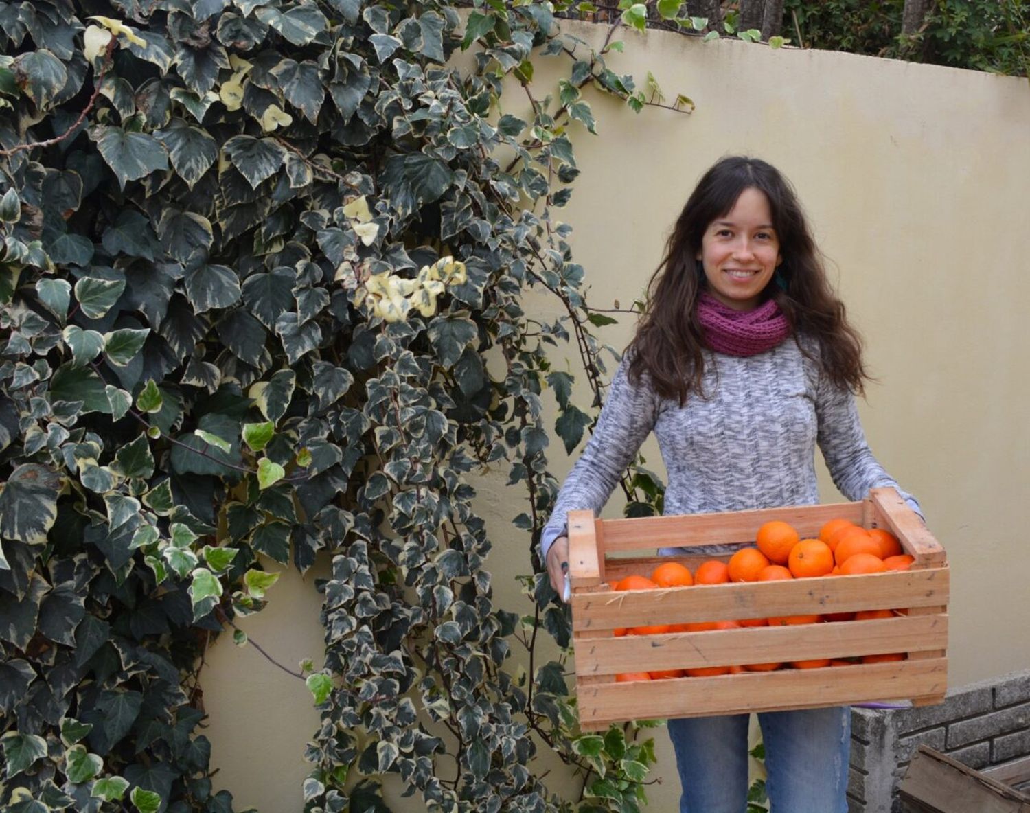 Alimentos agroecológicos: una tendencia que siembra esperanza y cambia la perspectiva en Rufino