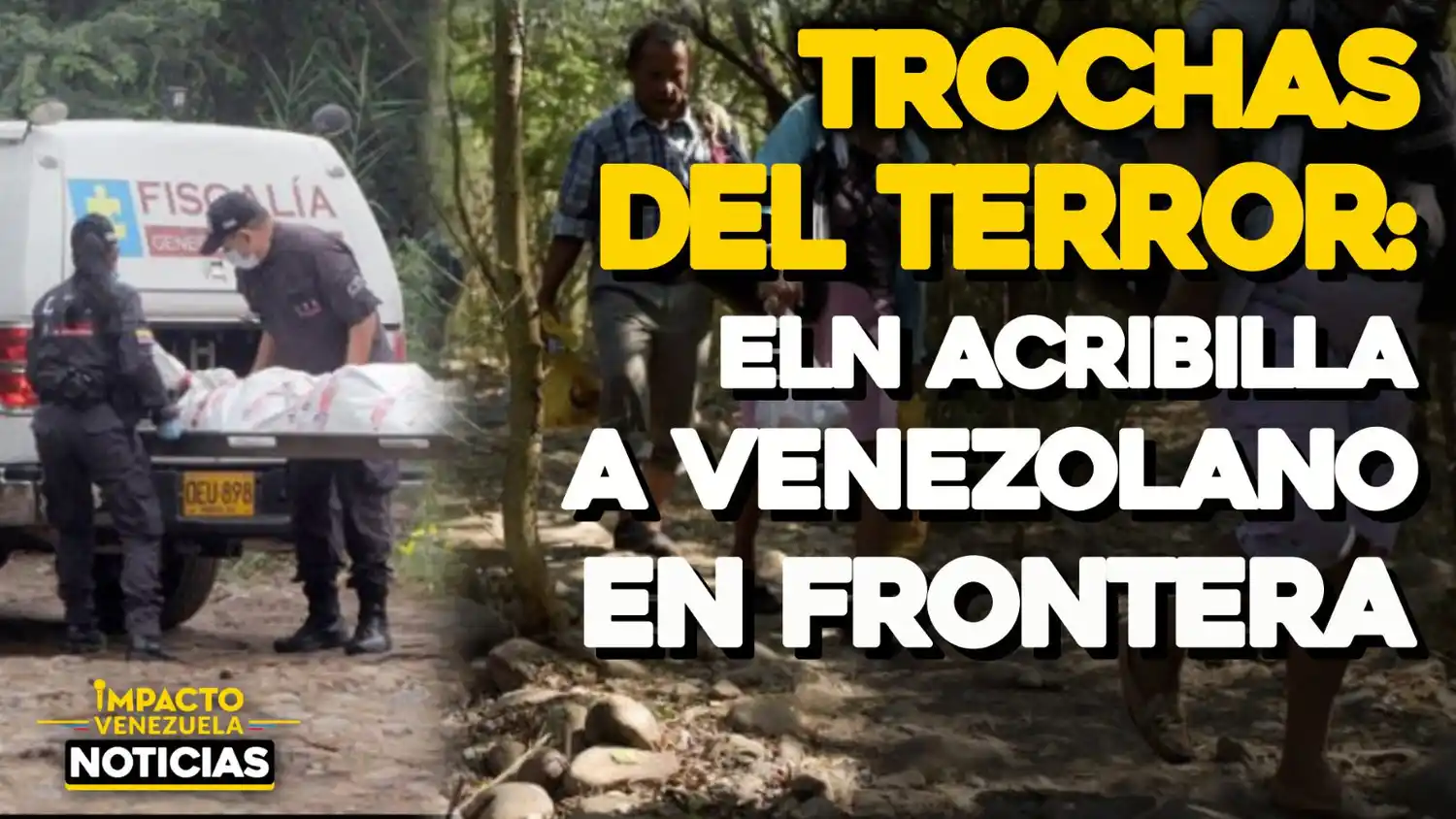 LO ACRIBILLARON A TIROS: matan a camionero venezolano cerca de una trocha en el sector El Porvenir de Cúcuta – VIDEO IMPACTO VENEZUELA