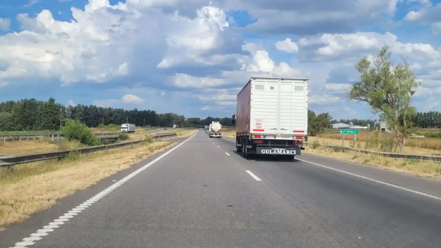 El Tramo Portuario Sur comprende la Ruta 9, entre Campana y San Nicolás, y la Ruta 188, entre San Nicolás y Realicó.