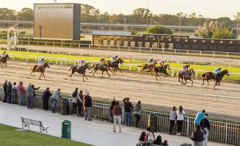Viernes 5: Actividad Hipódromo de Palermo