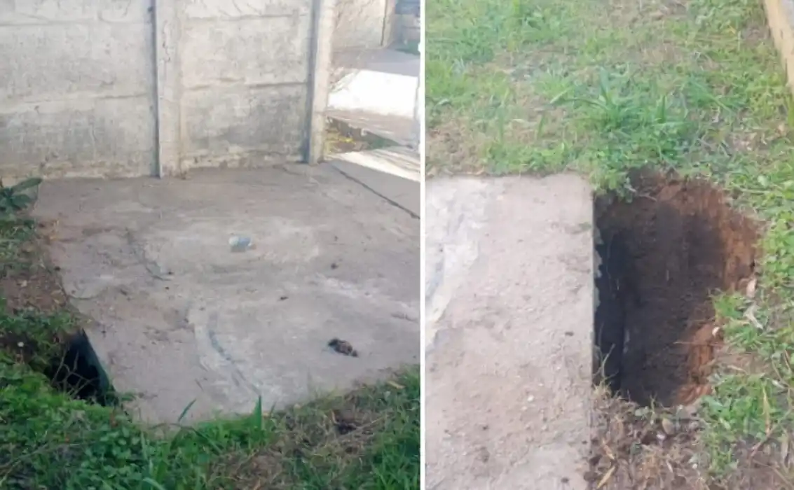 El pozo donde cayó el perro.