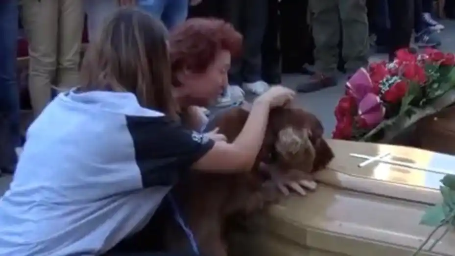 El adios de un perro a su dueño, que murió en el terremoto de Italia