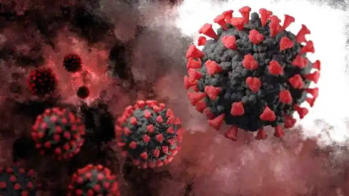 Prueban  la inmunoterapia en pacientes con coronavirus