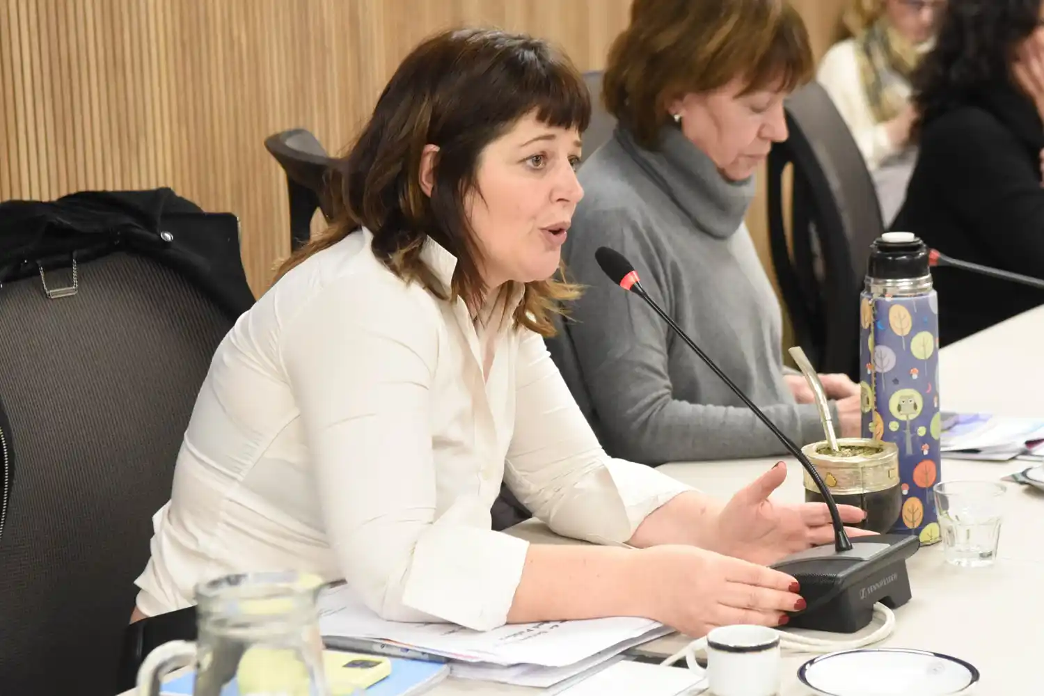 Proponen convertir en ley el programa de prevención de embarazos adolescentes