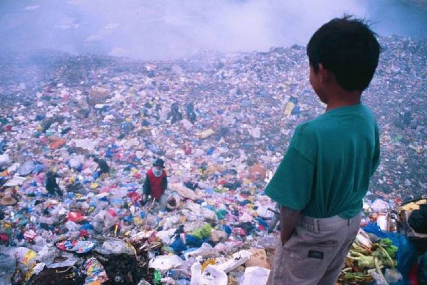 Casi una de cada cuatro  muertes en el mundo se debe a causas medioambientales