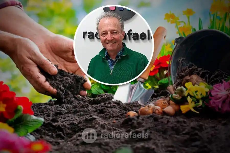 Todo lo que hay que saber sobre las huertas en casa: "El contacto con la naturaleza es lo que te carga las pilas"