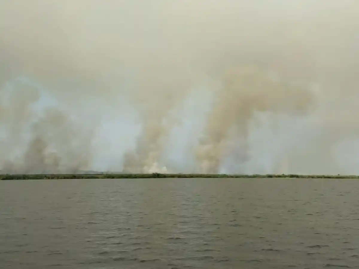 Un incendio afectó 600 hectáreas en los Esteros del Iberá