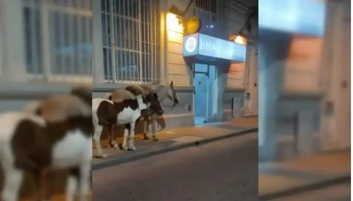 “El tema es retirar efectivo, no importa cómo”